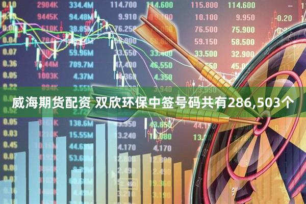 威海期货配资 双欣环保中签号码共有286,503个