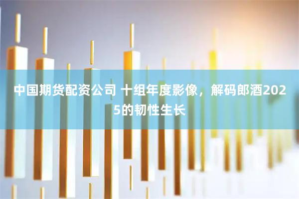中国期货配资公司 十组年度影像，解码郎酒2025的韧性生长