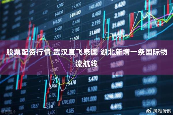 股票配资行情 武汉直飞泰国 湖北新增一条国际物流航线