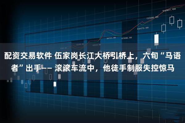配资交易软件 伍家岗长江大桥引桥上，六旬“马语者”出手—— 滚滚车流中，他徒手制服失控惊马