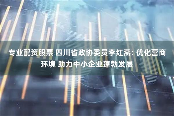 专业配资股票 四川省政协委员李红燕: 优化营商环境 助力中小企业蓬勃发展
