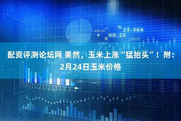 配资评测论坛网 果然，玉米上涨“猛抬头”！附：2月24日玉米价格
