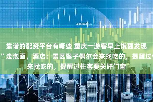靠谱的配资平台有哪些 重庆一游客早上饿醒发现猴子进房间“顺”走泡面，酒店：景区猴子偶尔会来找吃的，提醒过住客要关好门窗