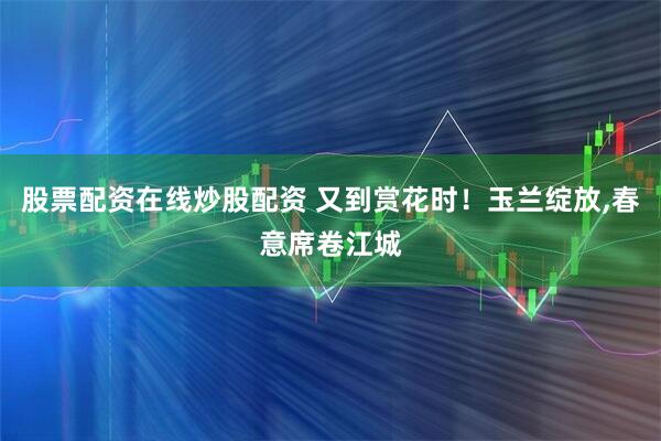 股票配资在线炒股配资 又到赏花时！玉兰绽放,春意席卷江城