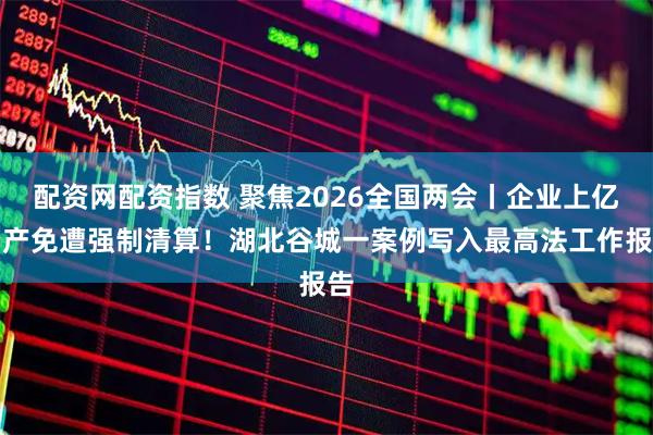 配资网配资指数 聚焦2026全国两会丨企业上亿资产免遭强制清算！湖北谷城一案例写入最高法工作报告