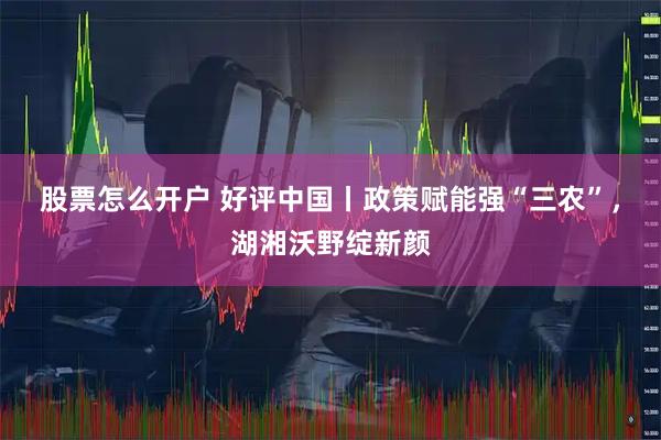 股票怎么开户 好评中国丨政策赋能强“三农”，湖湘沃野绽新颜