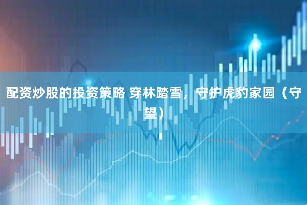 配资炒股的投资策略 穿林踏雪，守护虎豹家园（守望）