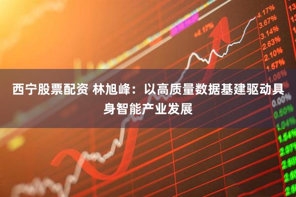 西宁股票配资 林旭峰：以高质量数据基建驱动具身智能产业发展